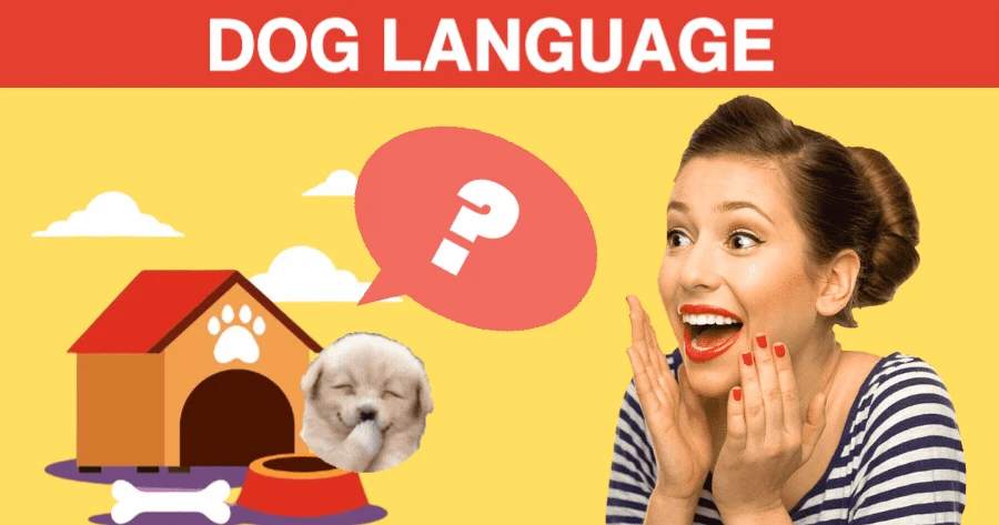 What’s Your Name In Dog Language?