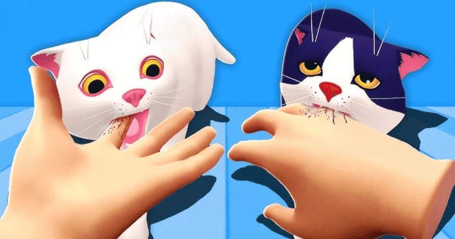 Are You A True Cat Cafe VR Expert?